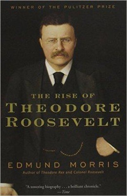 The Rise of Theodore Roosevelt (Theodore Roosevelt #1)