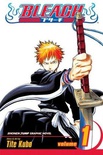 Bleach, Vol. 1: Strawberry and the Soul Reapers (Bleach #1)